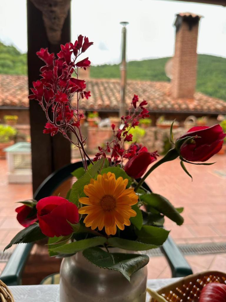 Ezcaray Turza Casa Rural Completa Hasta 8Pax Extérieur photo